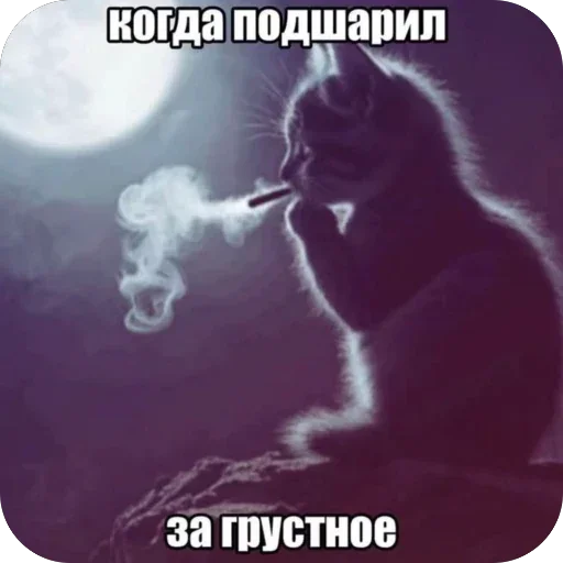 Больше стиков тут 2