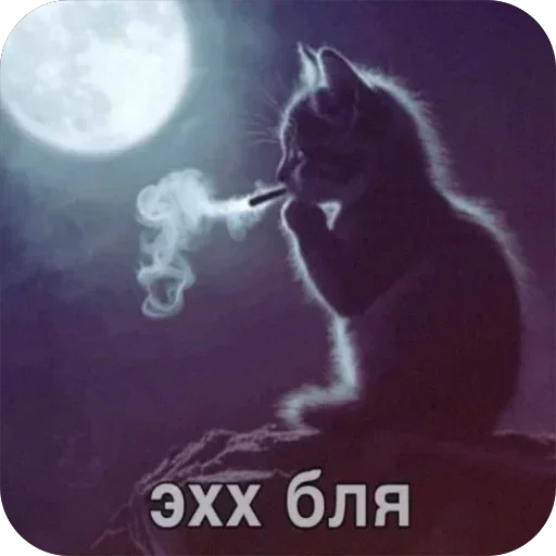 Больше стиков тут 3