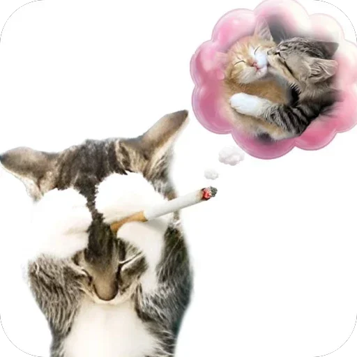 Больше стиков тут 5