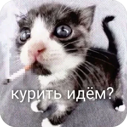 Стикер 11