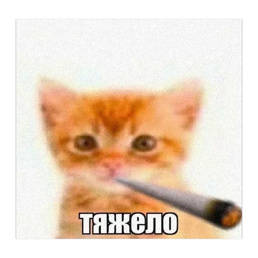 Стикер 12