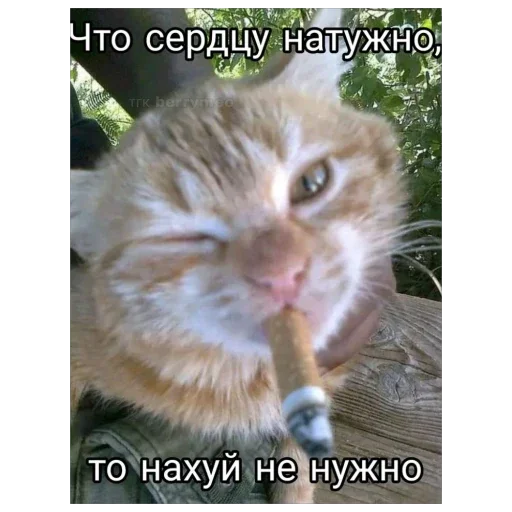 Стикер 14