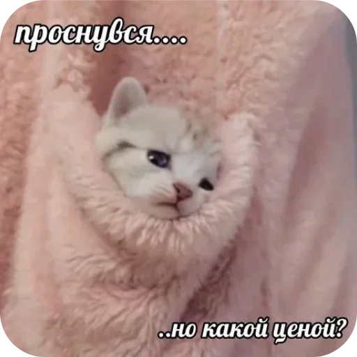 Больше стиков тут 4