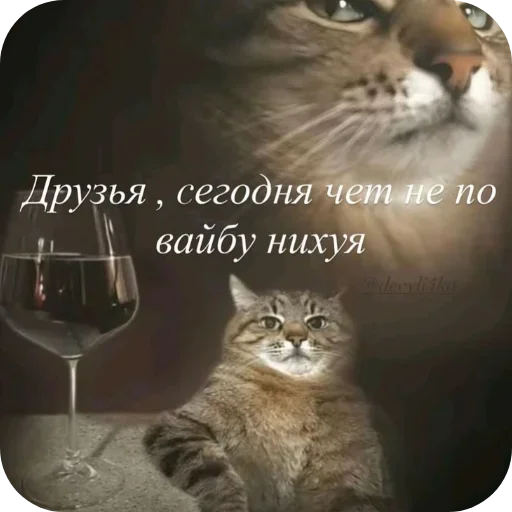 Больше стиков тут 5
