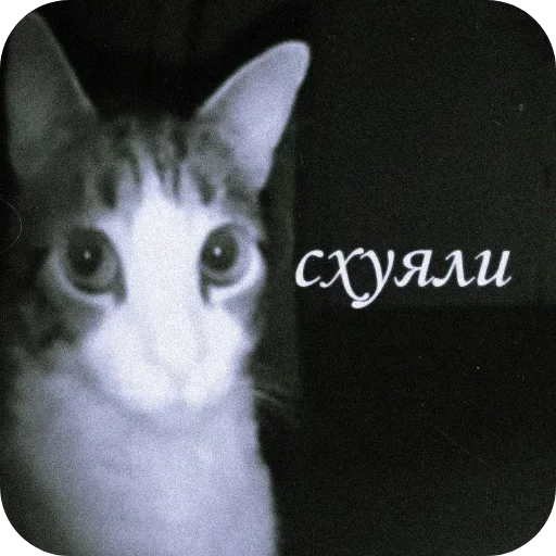 Стикер 13