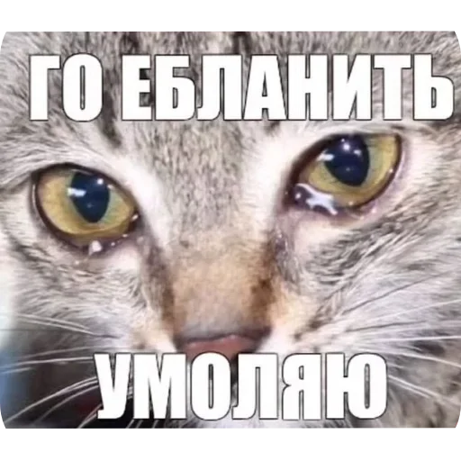 Стикер 15