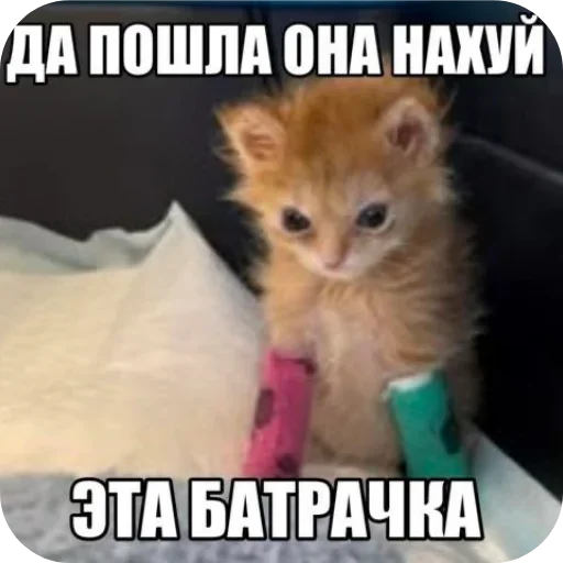 Стикер 16