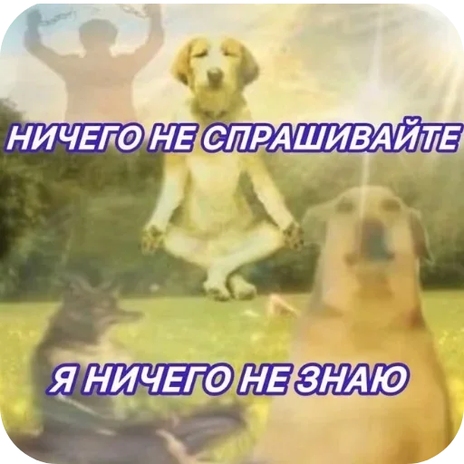 Стикер 17