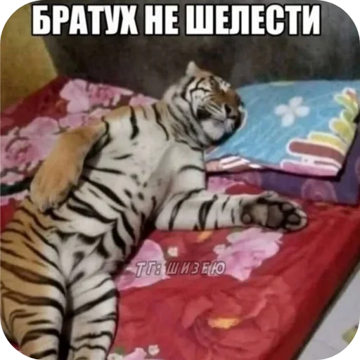 Стикер 20