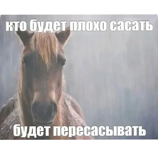 Стикер 21