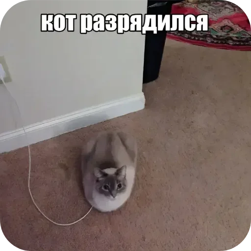 Больше стиков тут 3