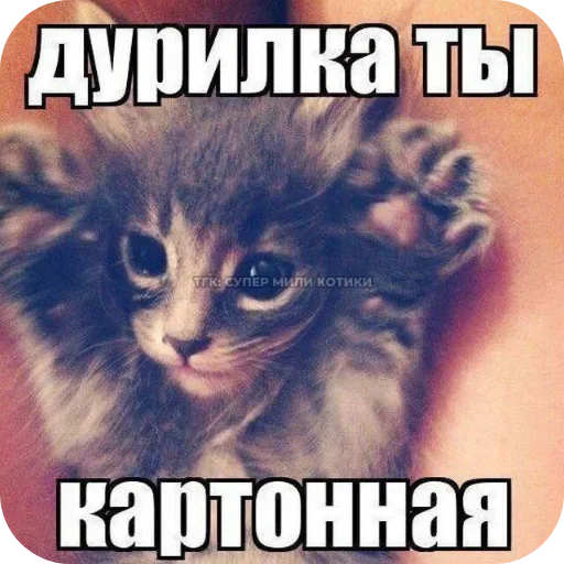Стикер 8