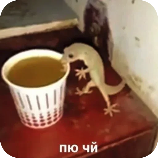 Стикер 10