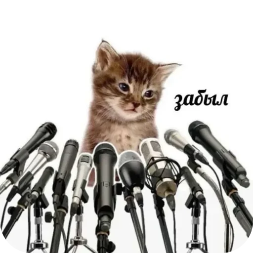 Стикер 11