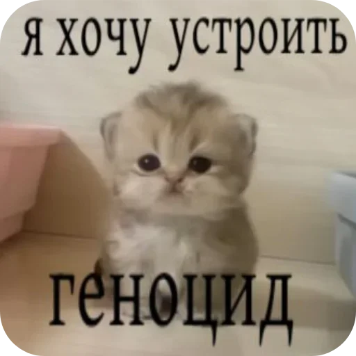 Стикер 12