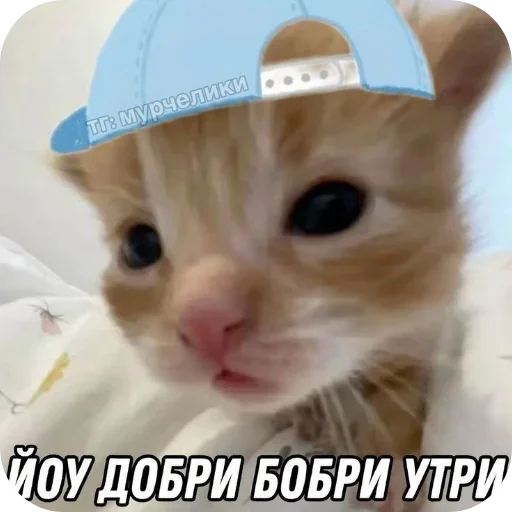 Стикер 13