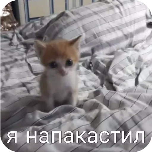 Стикер 14
