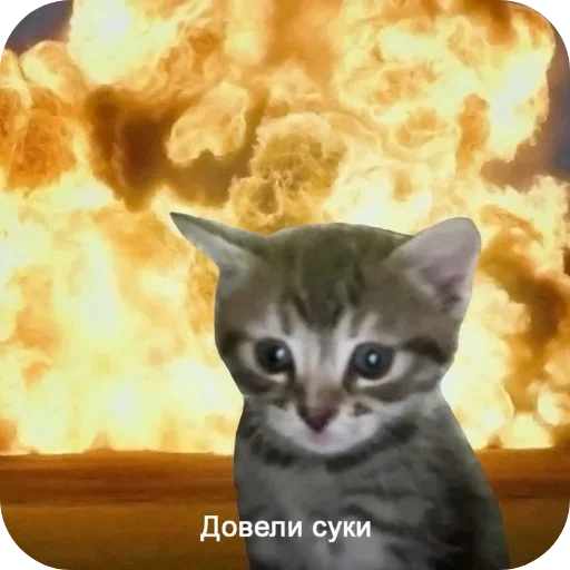 Стикер 15