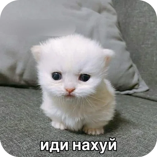 Стикер 16