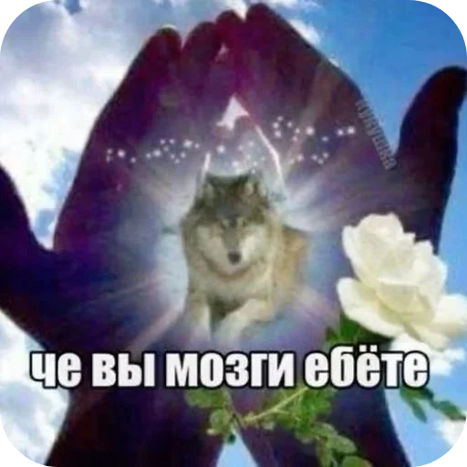 Стикер 17