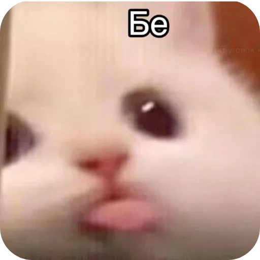 Стикер 19