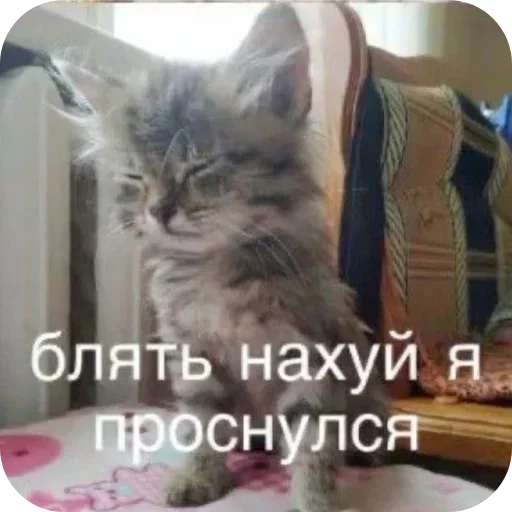 Стикер 20