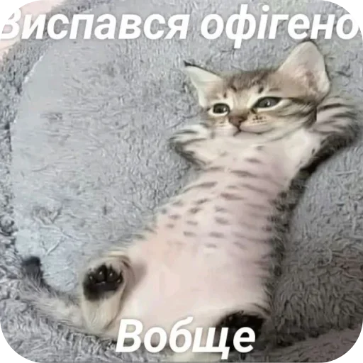 Стикер 21