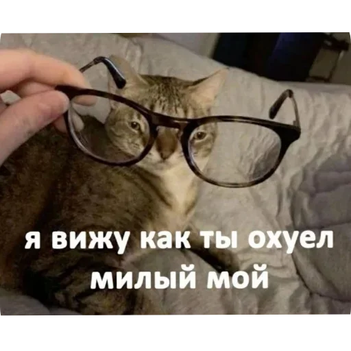 Стикер 22