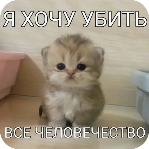 Стикер 24