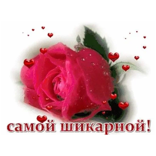Стикер 24
