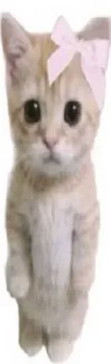Больше стиков тут 3