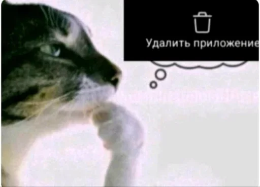 Стикер 8
