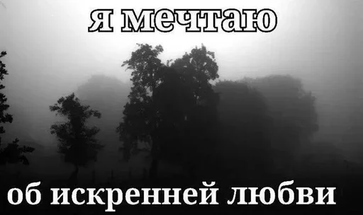 Стикер 19