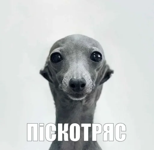 Больше стиков тут 3