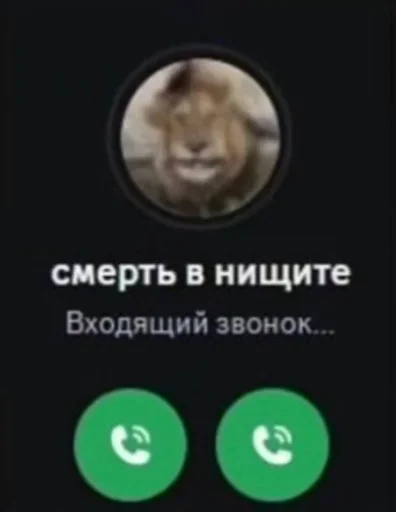 Больше стиков тут 4