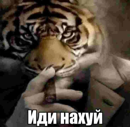 Стикер 11