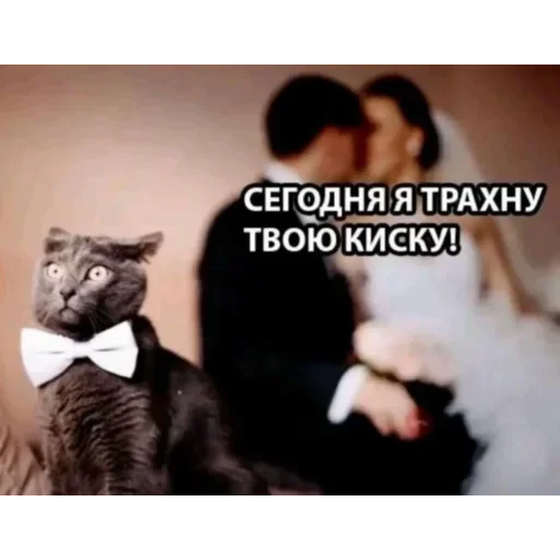 Больше стиков тут 6