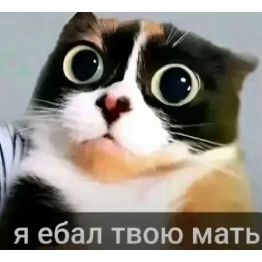 Стикер 20