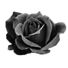 Стикер 9
