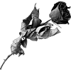 Стикер 20