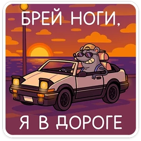 Стикер 21
