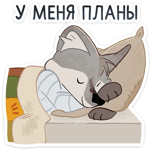 Сырник от 4