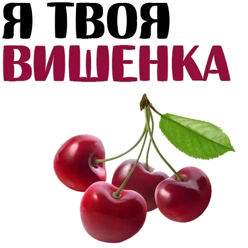 Стикер 14