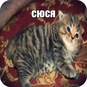 Стикер 11