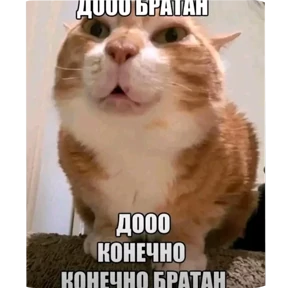Стикер 13