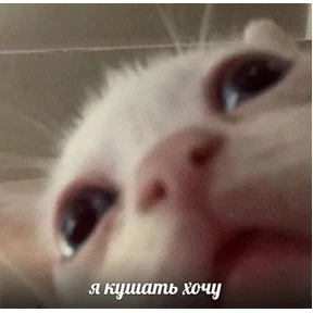 Стикер 16
