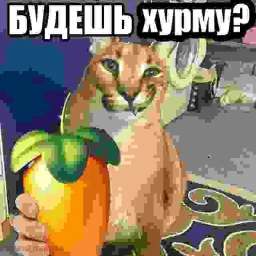 Стикер 10