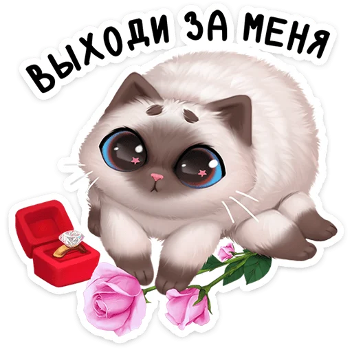 Паушка от 5