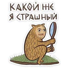 Стикер 24