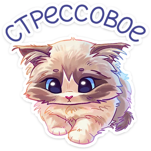 Стикер 23